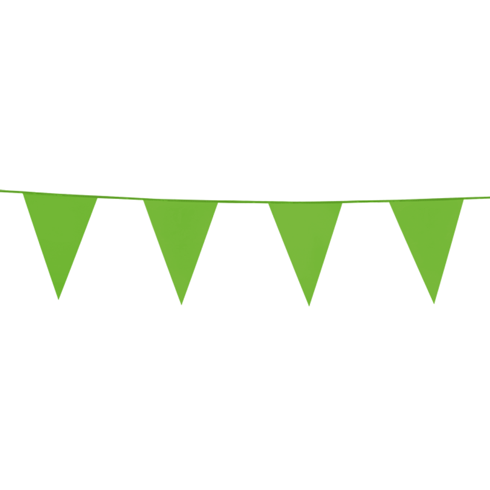  Licht Groene Vlaggenlijn - 10 meter