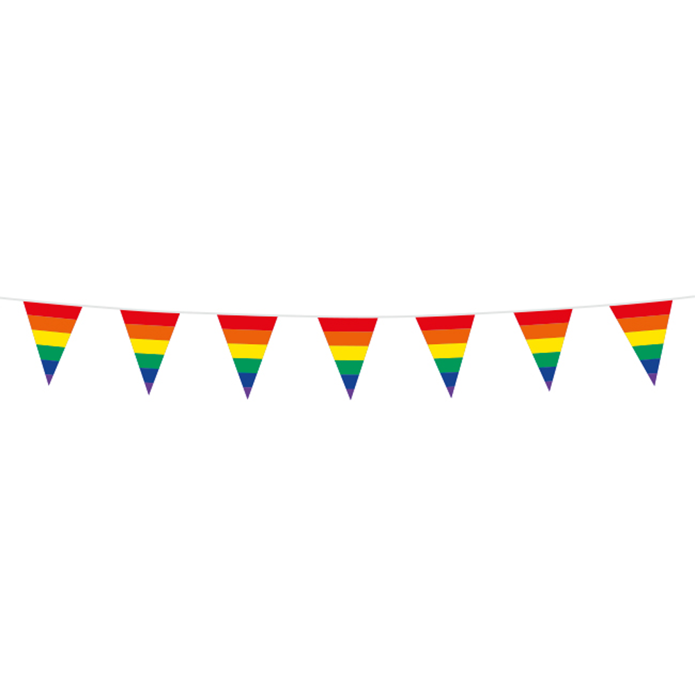 Regenboog Mini Vlaggenlijn - 3 meter