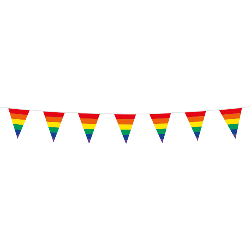 Regenboog Mini Vlaggenlijn - 3 meter afbeelding 1
