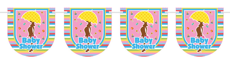 Babyshower Vlaggenlijn - 6 meter