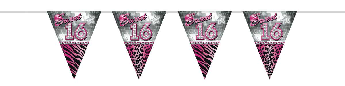 Sweet 16 Slinger - 10 meter afbeelding
