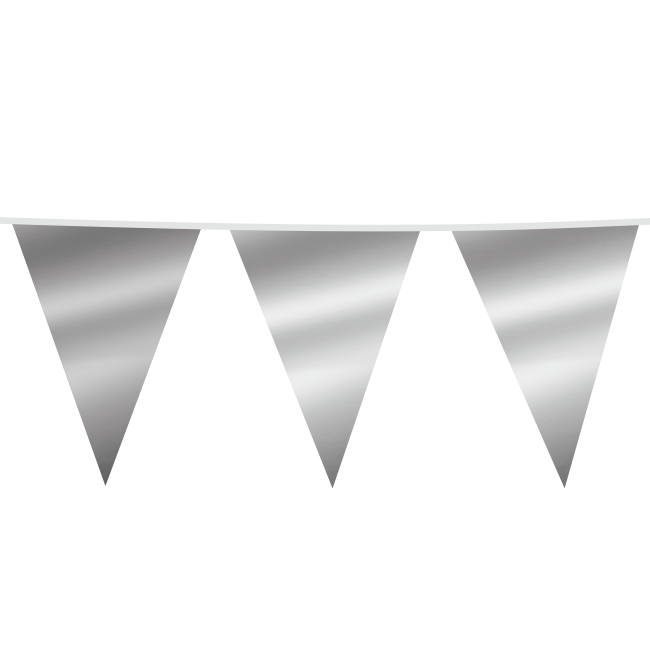 Metallic zilveren XL Vlaggenlijn - 6 meter afbeelding