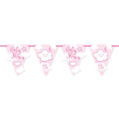 Vlaggenlijn Babyshower Roze - 6mtr afbeelding