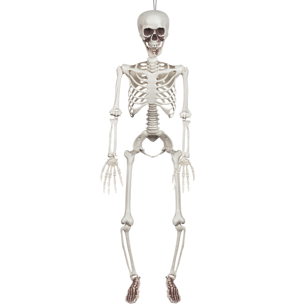Decoratie Skelet - 91cm