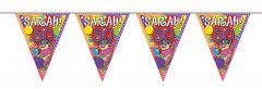 50 Jaar Sarah Knalfeest Slinger - 10 meter