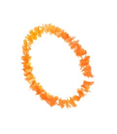 Hawaii Krans Oranje