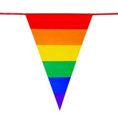 Vlaggenlijn XL Regenboog-8m