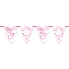 Vlaggenlijn Babyshower Roze - 6mtr