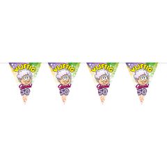 50 jaar Sarah Regenboog Vlaggenlijn - 10 meter