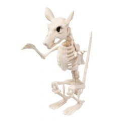 Rattenskelet - 17 x 12 x 16 cm