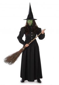 Wicked Witch Kostuum