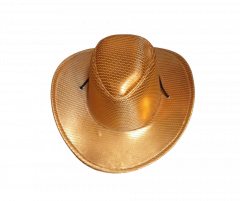 Oranje Cowboyhoed Glans