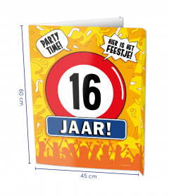 Window Sign - 16 Jaar