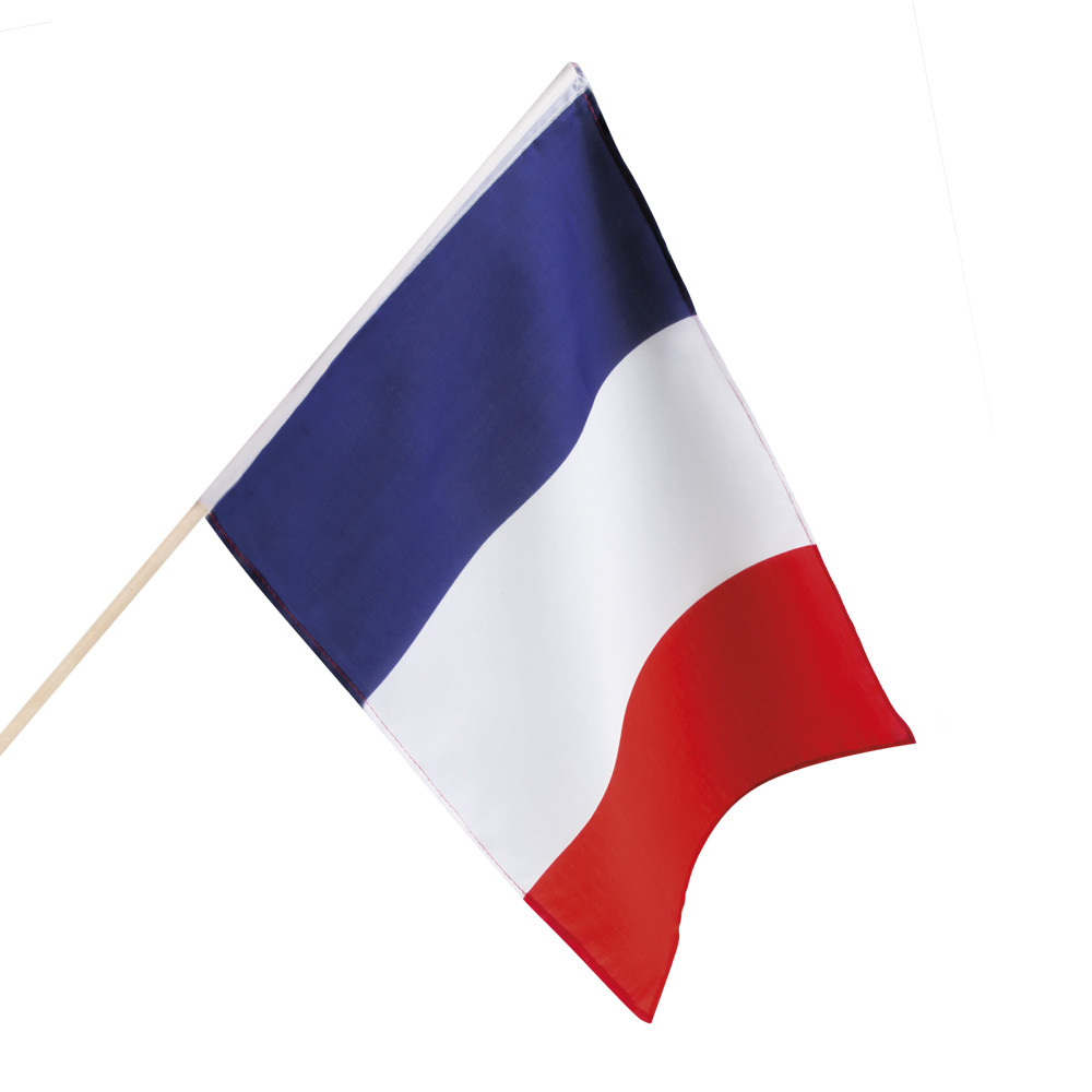 Zwaaivlag Frankrijk - 30x45cm afbeelding