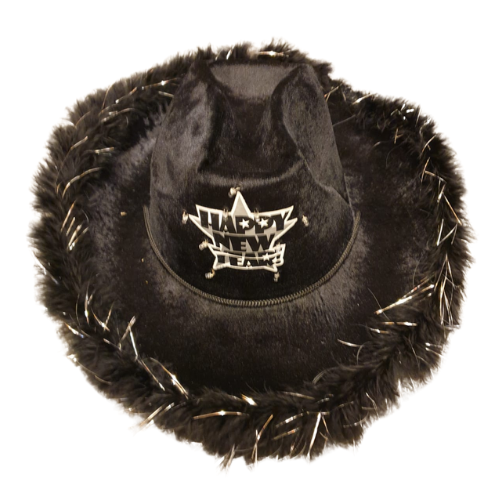 Cowboy Hoed Happy New Year afbeelding