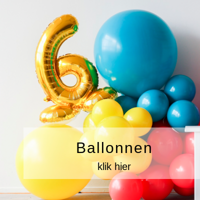 https://www.feestwinkel.nl/ballonnen