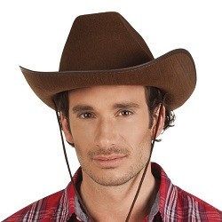 Cowboy Hoed Rodeo Bruin