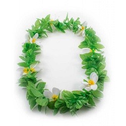 Hawaii krans bloemen wit