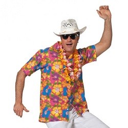 Hawaii shirt