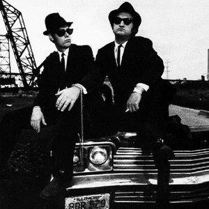 Bril zwart Blues Brothers 